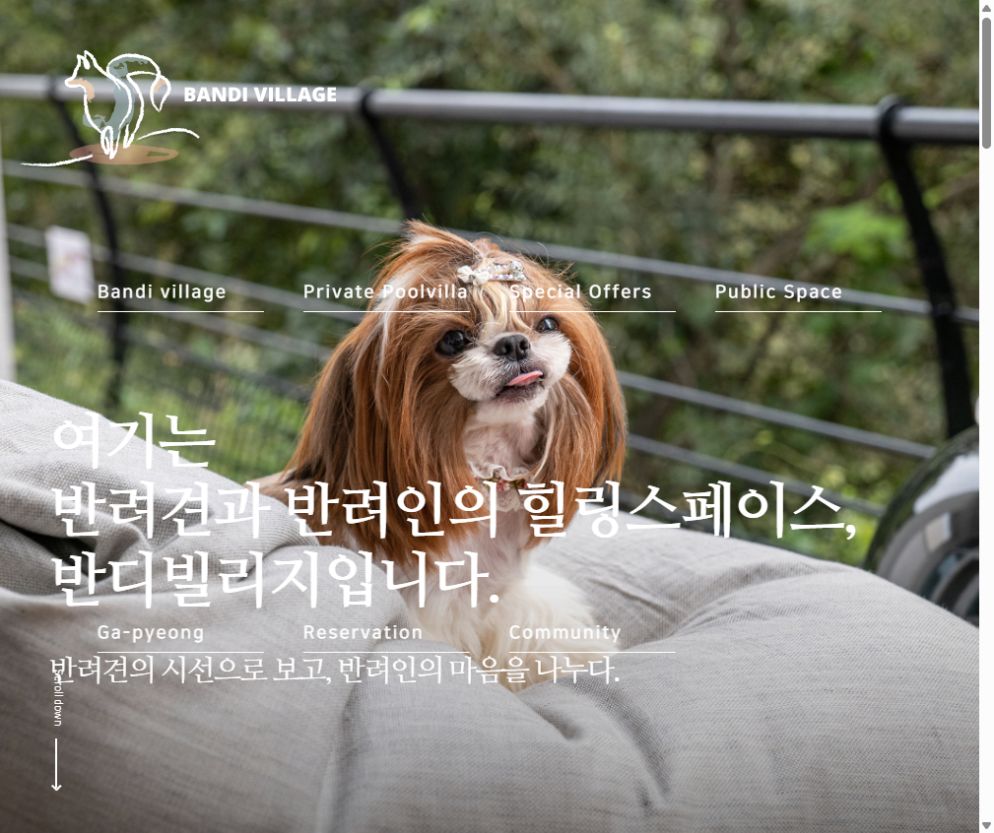 가평 반디빌리지 공식 홈페이지 화면 미리보기